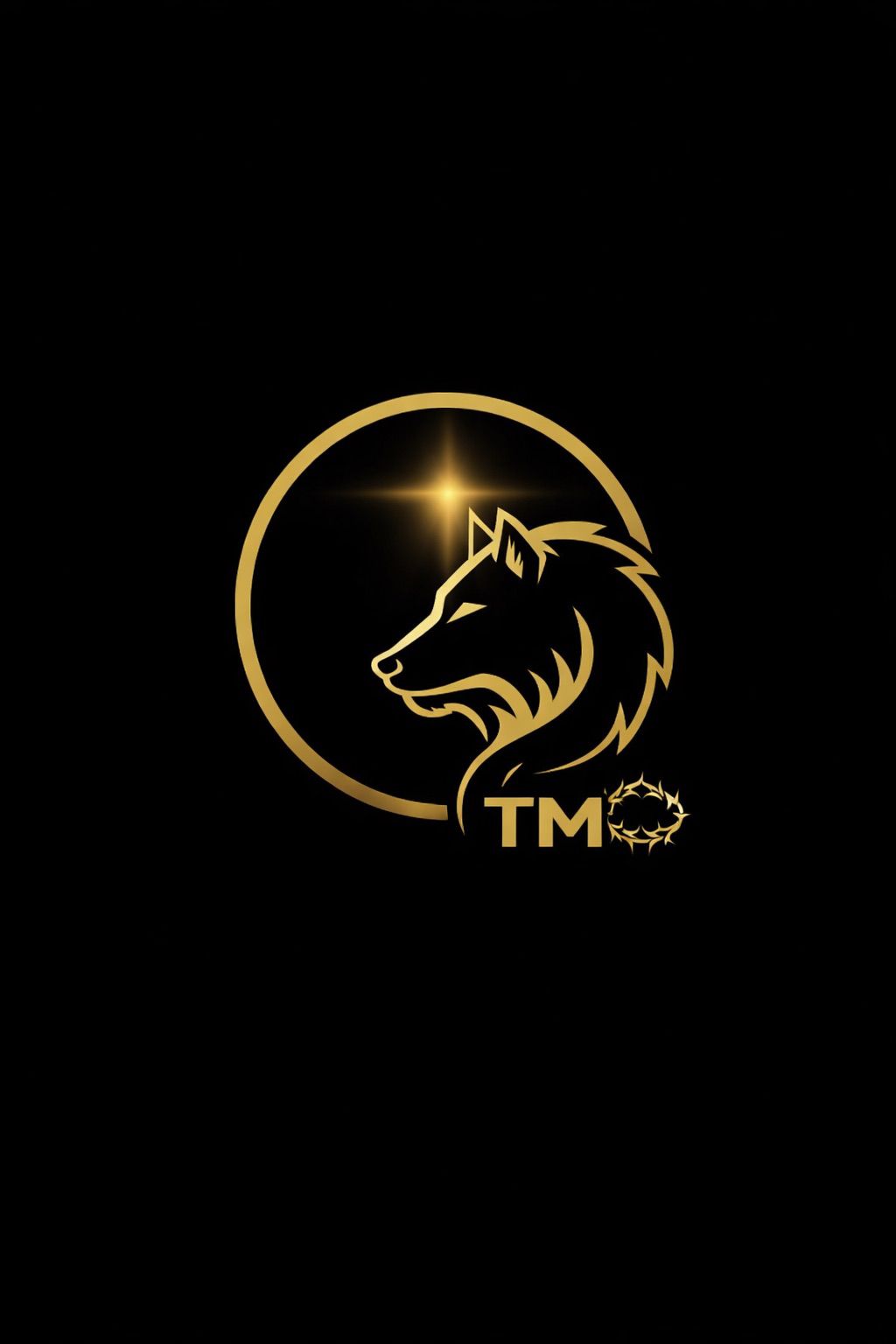 Logotipo Tiago Marins